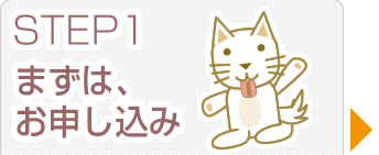 STEP1 ���\������