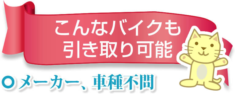 ����ȃo�C�N�ł��������\