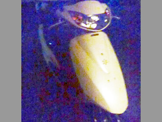 千葉県茂原市高師で無料で引き取りしたホンダのバイクのDio4スト 白