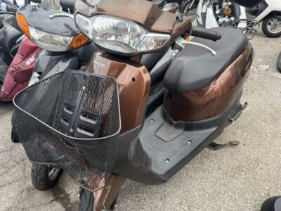 2025年11月15日(金)　引き取り先：群馬県高崎市貝沢町